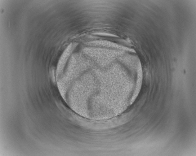 X0000070420042200607072345