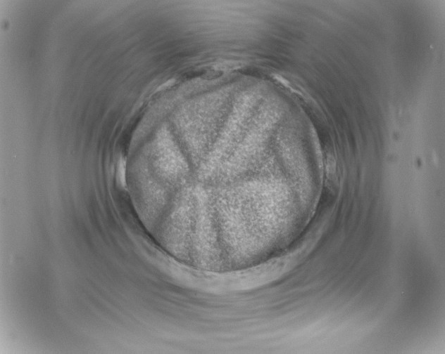 X0000070420046200607072345