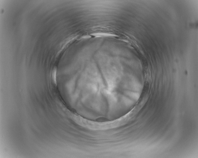 X0000070420047200607072345