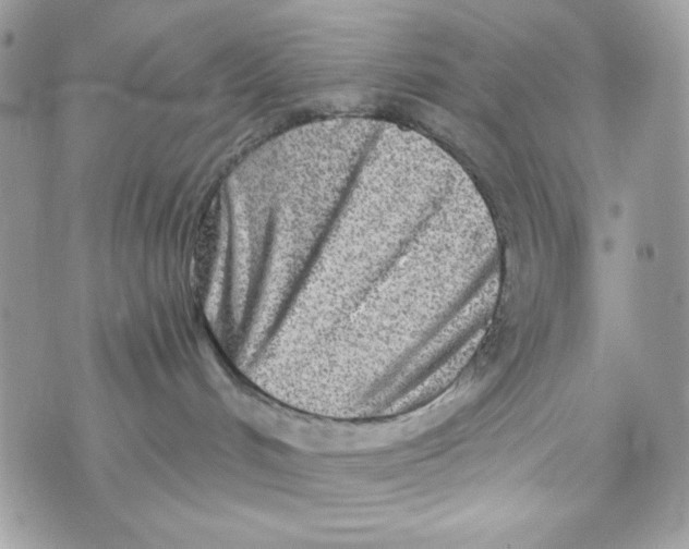 X0000070420048200607072345