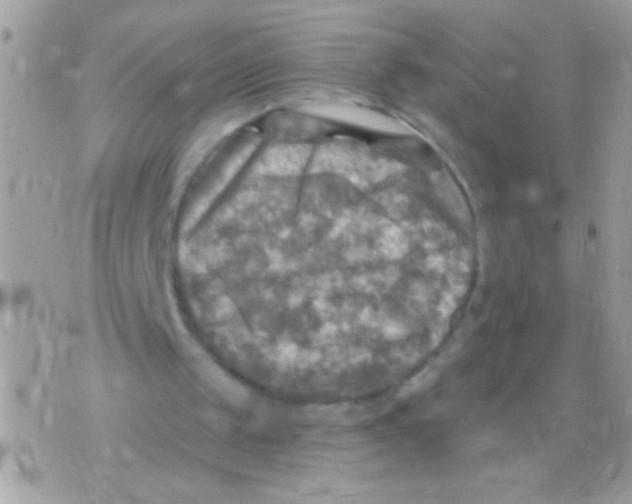 X0000070420049200607072344