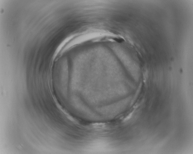 X0000070420052200607072344