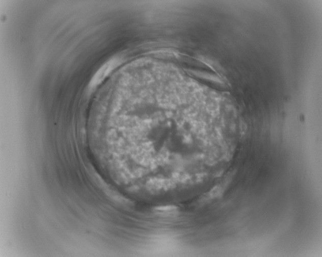 X0000070420053200607072344