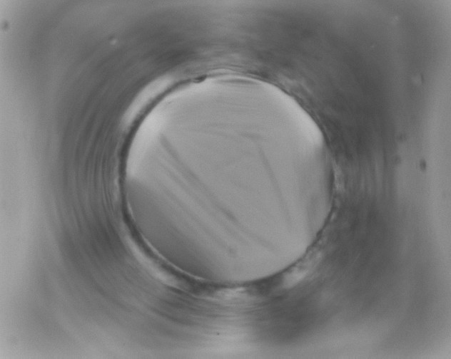 X0000070420054200607072344