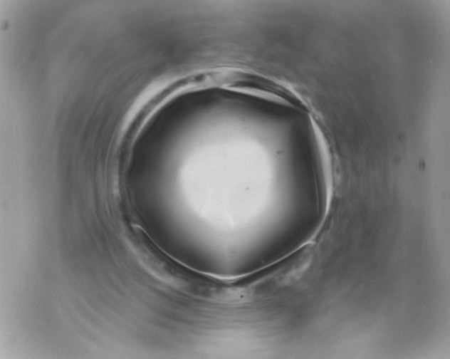 X0000070420056200607072344