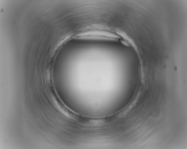 X0000070420057200607072344