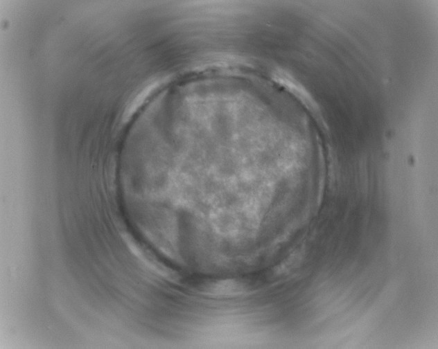 X0000070420058200607072344