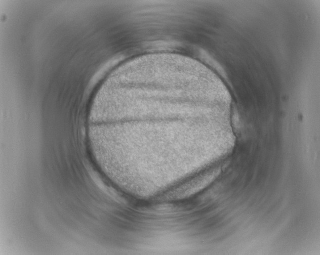 X0000070420059200607072344