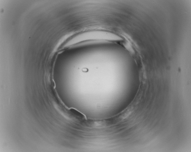 X0000070420060200607072345