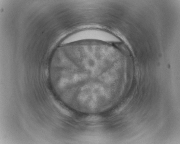 X0000070420063200607072345