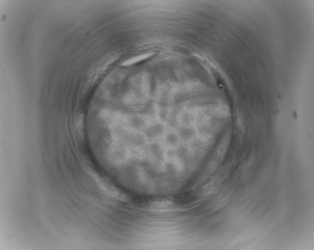 X0000070420066200607072345