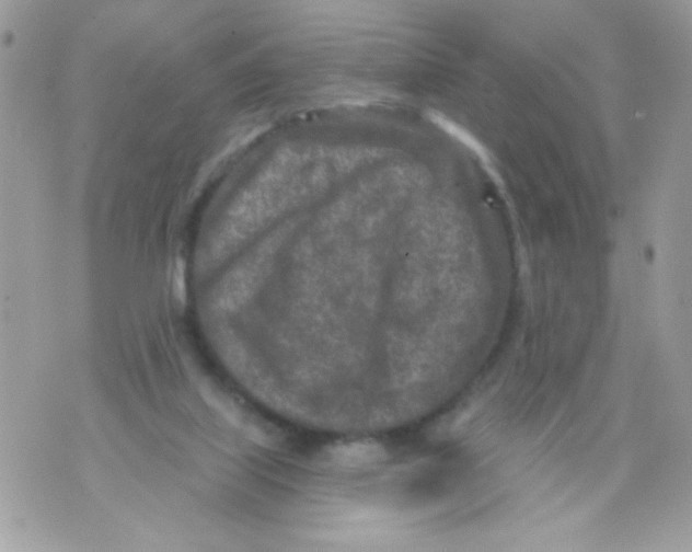 X0000070420067200607072345