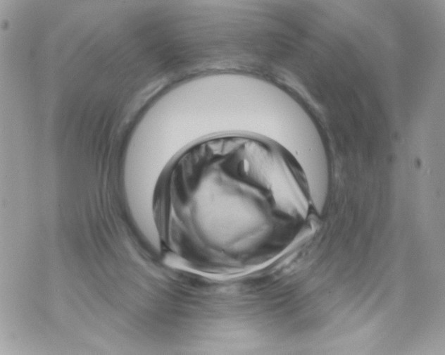 X0000070420068200607072345