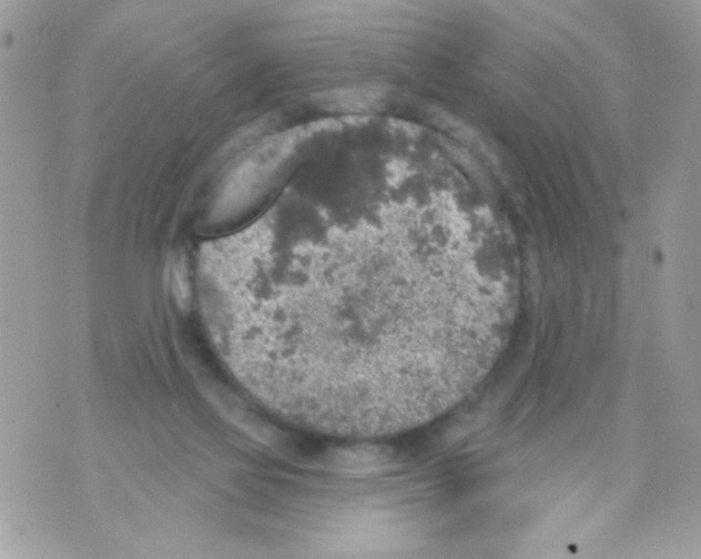 X0000070420069200607072345