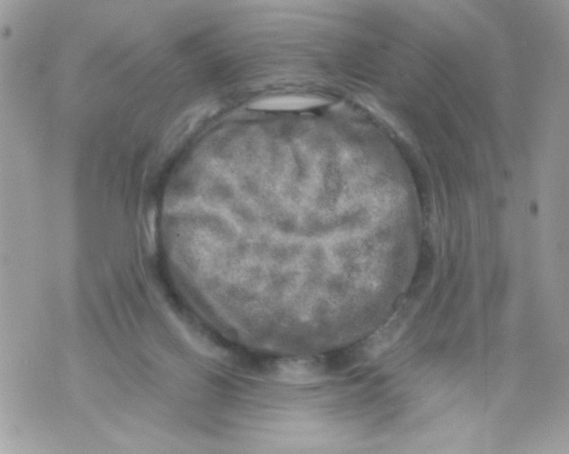 X0000070420070200607072345