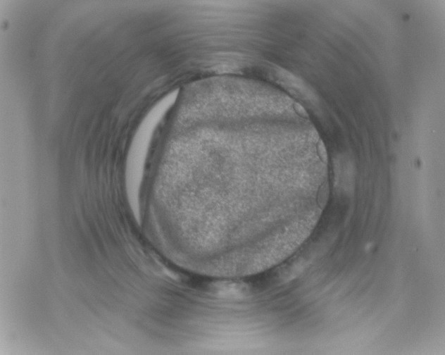 X0000070420073200607072345