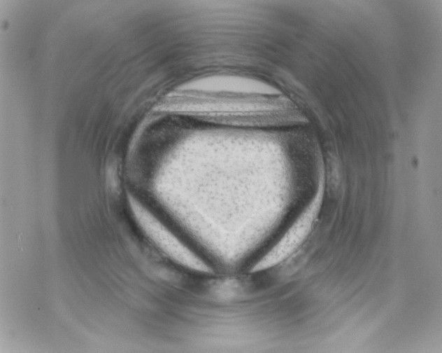 X0000070420074200607072345