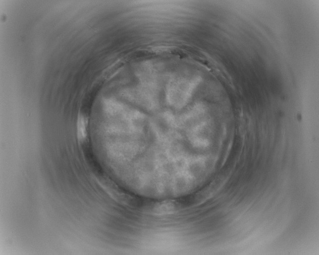 X0000070420075200607072345