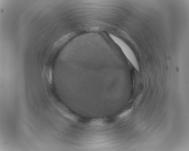 X0000070420076200607072345