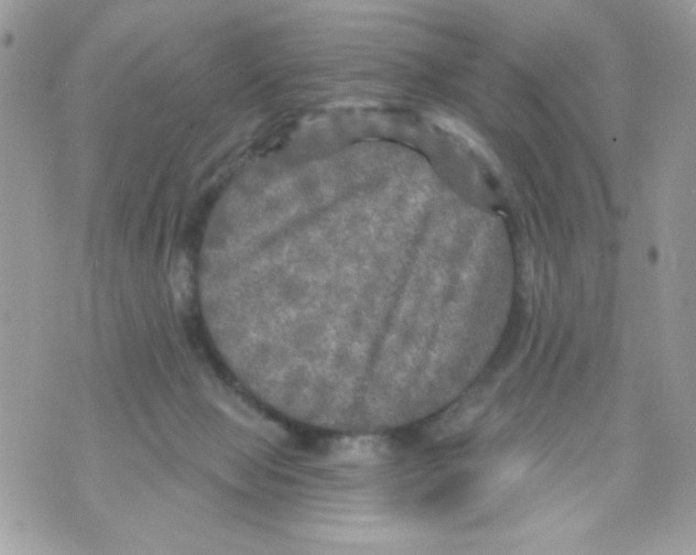 X0000070420077200607072345