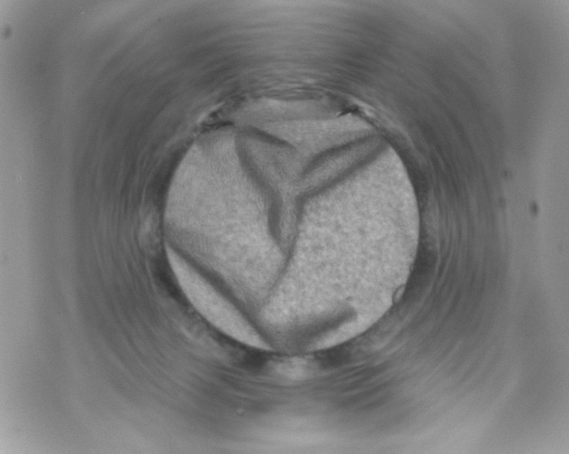 X0000070420079200607072345