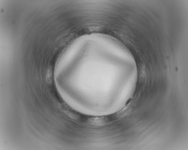 X0000070420082200607072345