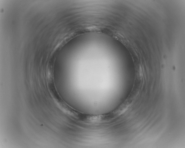 X0000070420084200607072345