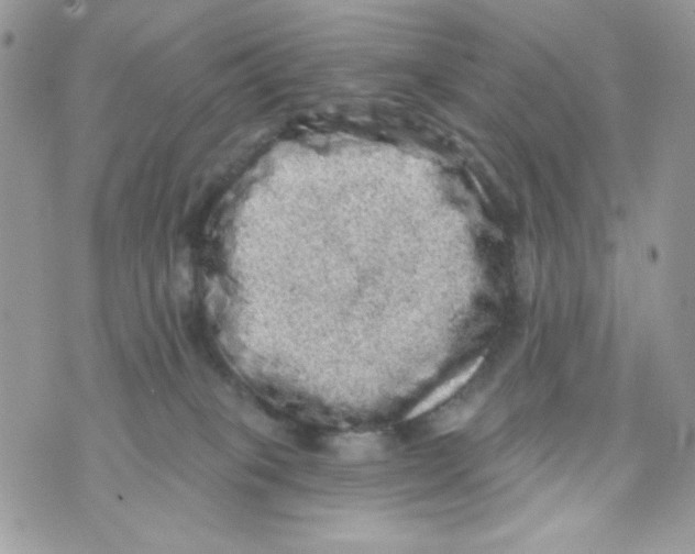 X0000070420085200607072345