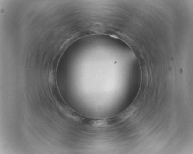 X0000070420088200607072345