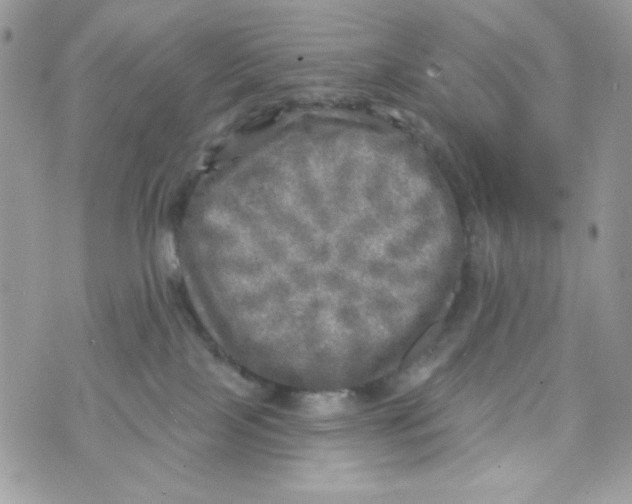 X0000070420089200607072345