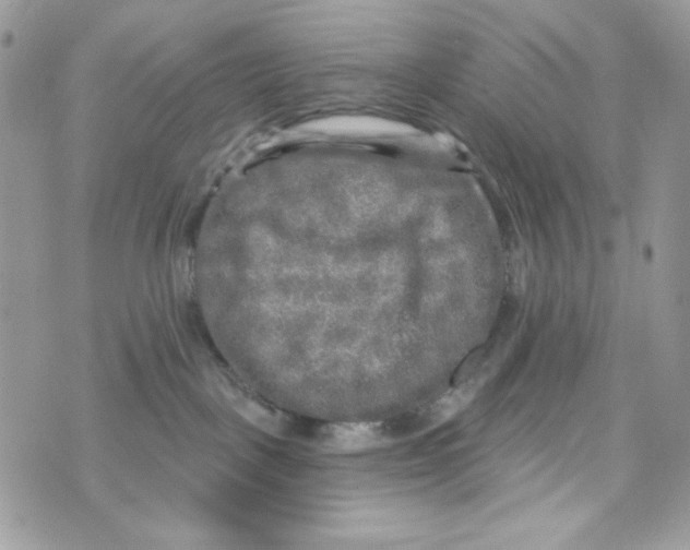 X0000070420093200607072345