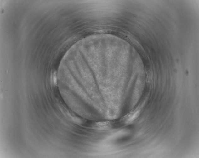 X0000070420095200607072345