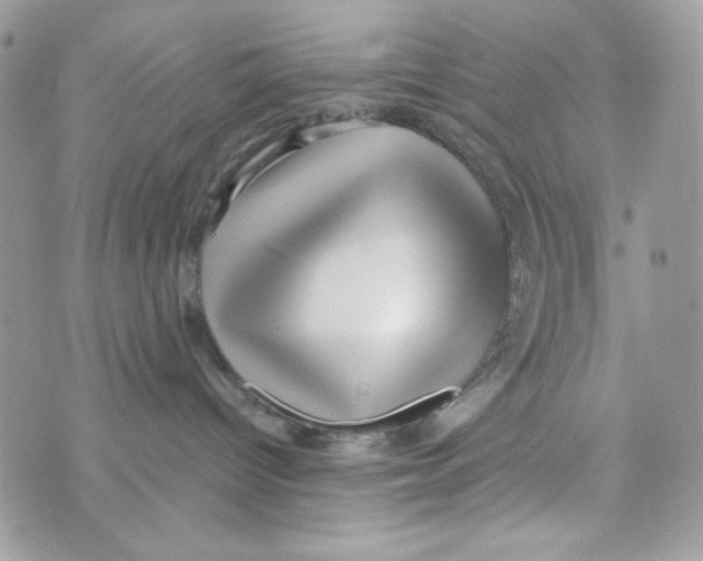 X0000070420096200607072345