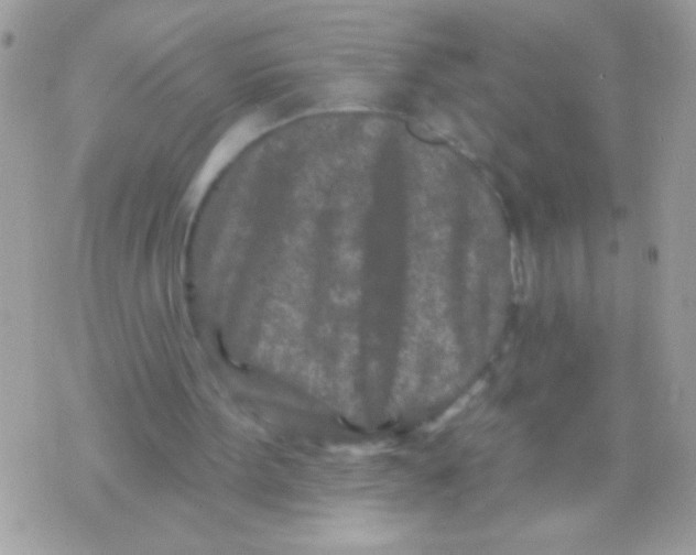 X0000070420099200607072344