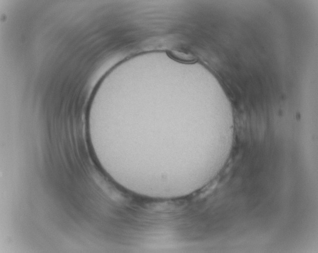 X0000070420100200607072344