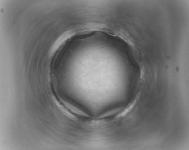 X0000070420101200607072344