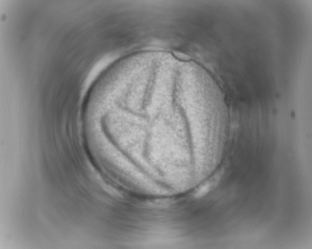 X0000070420102200607072344