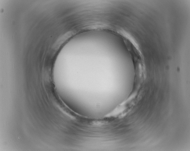 X0000070420105200607072344