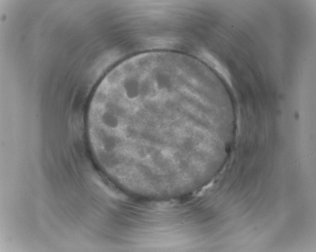 X0000070420107200607072344