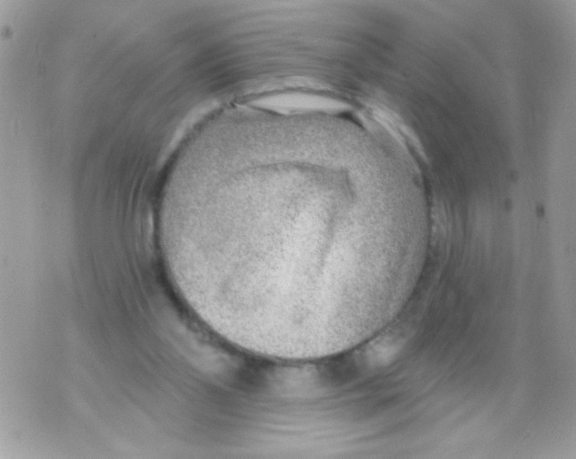 X0000070420110200607072344