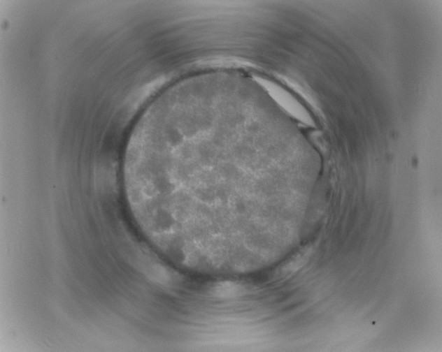 X0000070420111200607072344