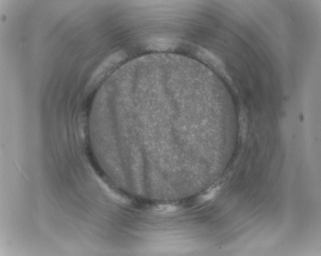 X0000070420114200607072344