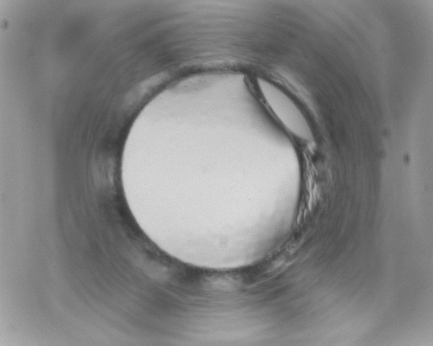 X0000070420115200607072344