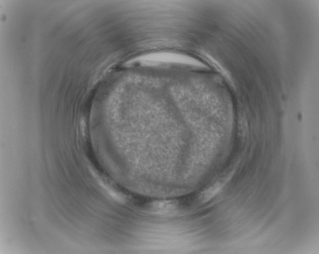 X0000070420117200607072344