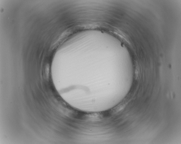 X0000070420118200607072344