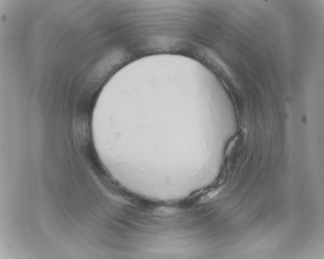 X0000070420119200607072344