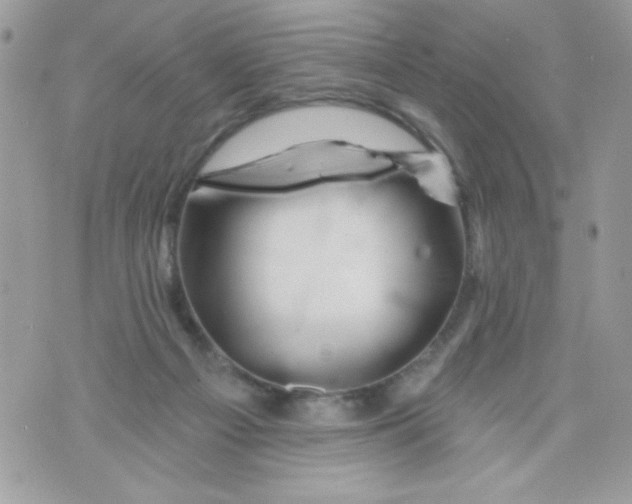 X0000070420121200607072344