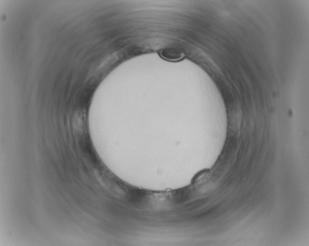 X0000070420126200607072344