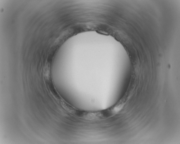 X0000070420129200607072344