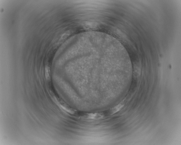 X0000070420130200607072344